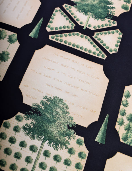 Burberry Vintage Extraordinary Trees Garden Plaid Print Beige Black Multicolor Silk Scarf