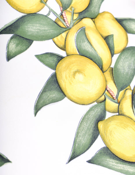 Hermes Vintage Oranges and Lemons Citrus Silk Scarf