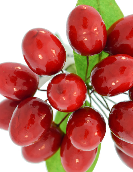 Sonia Rykiel Vintage Realistic Cranberries Fruit Brooch Pin